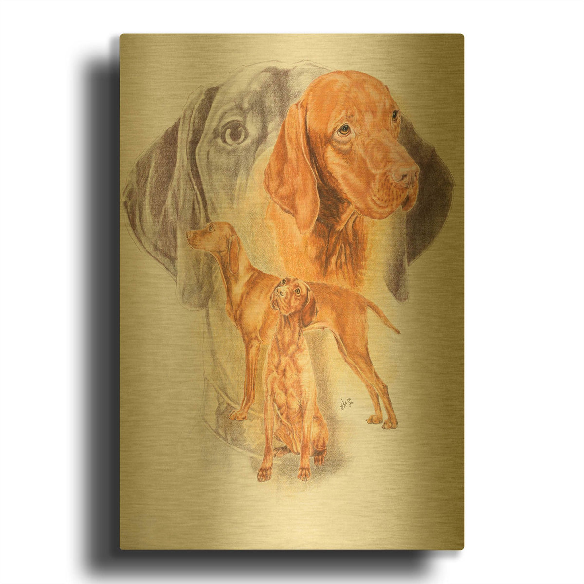 'Hungarian Vizsla' By Barbara Keith Gold Metal Wall Art