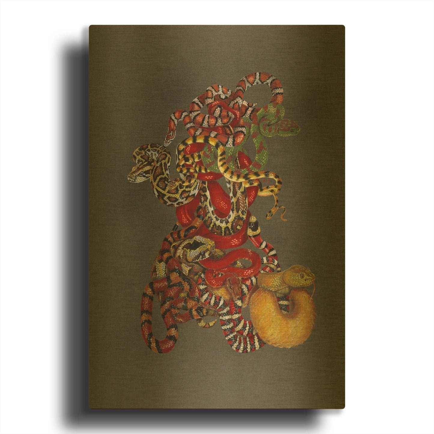 'Slither' By Barbara Keith Gold Metal Wall Art