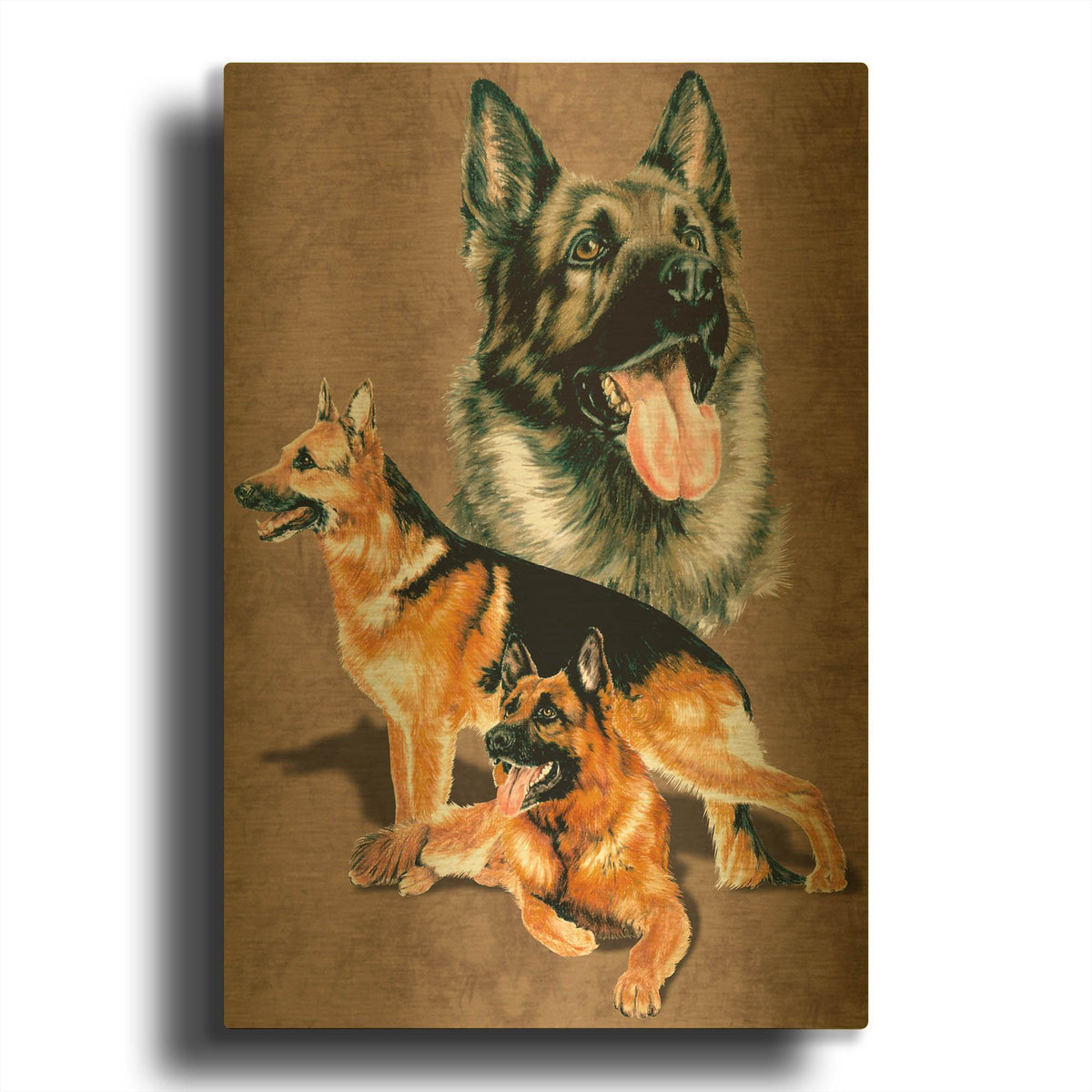 'German Shepherd' By Barbara Keith Gold Metal Wall Art
