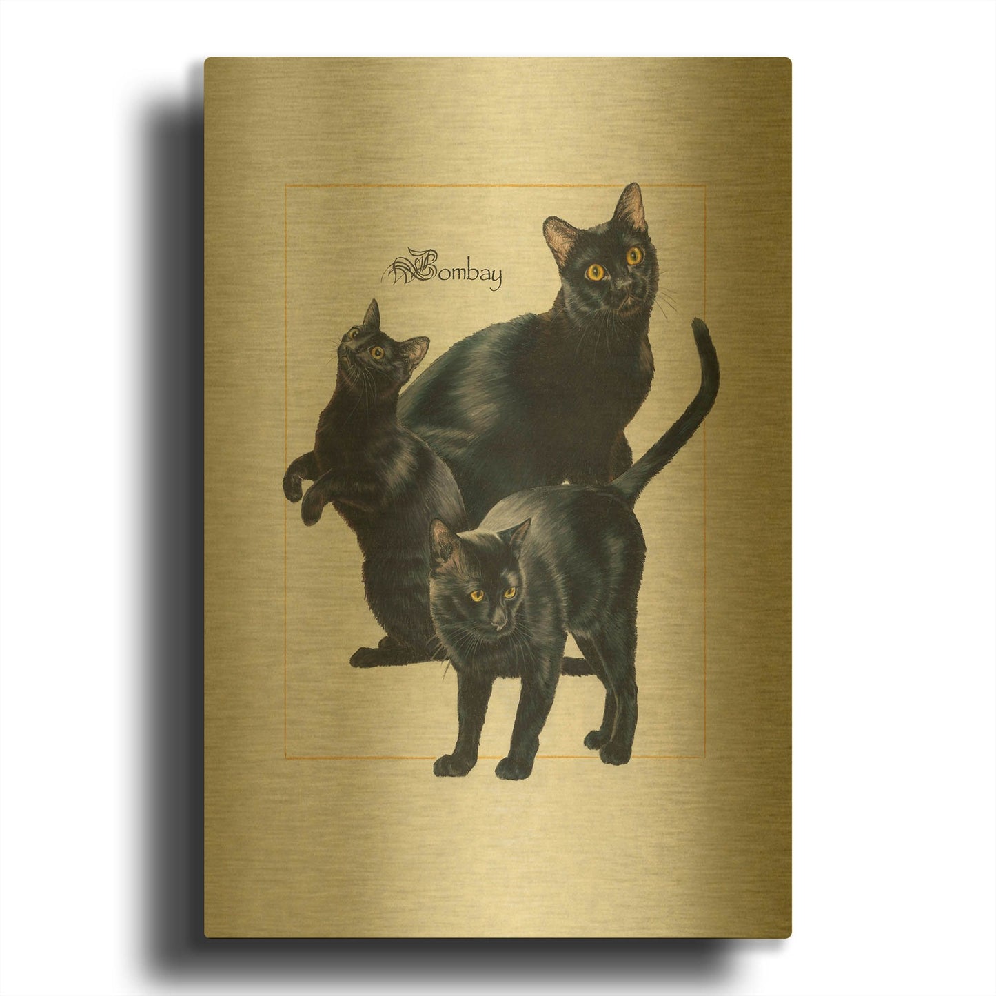 'Bombay' By Barbara Keith Gold Metal Wall Art