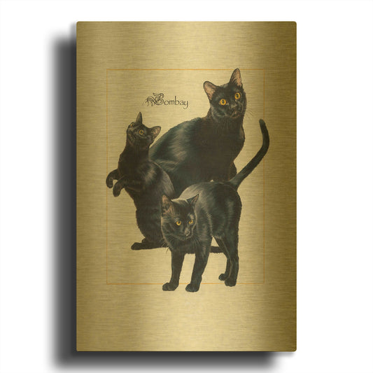 'Bombay' By Barbara Keith Gold Metal Wall Art