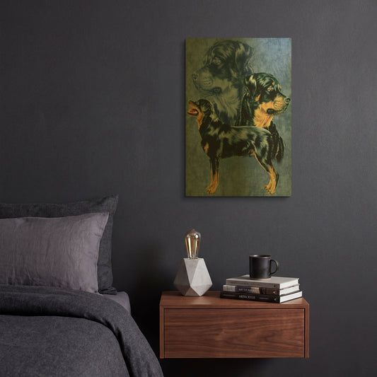 'Rottweiller' By Barbara Keith Gold Metal Wall Art
