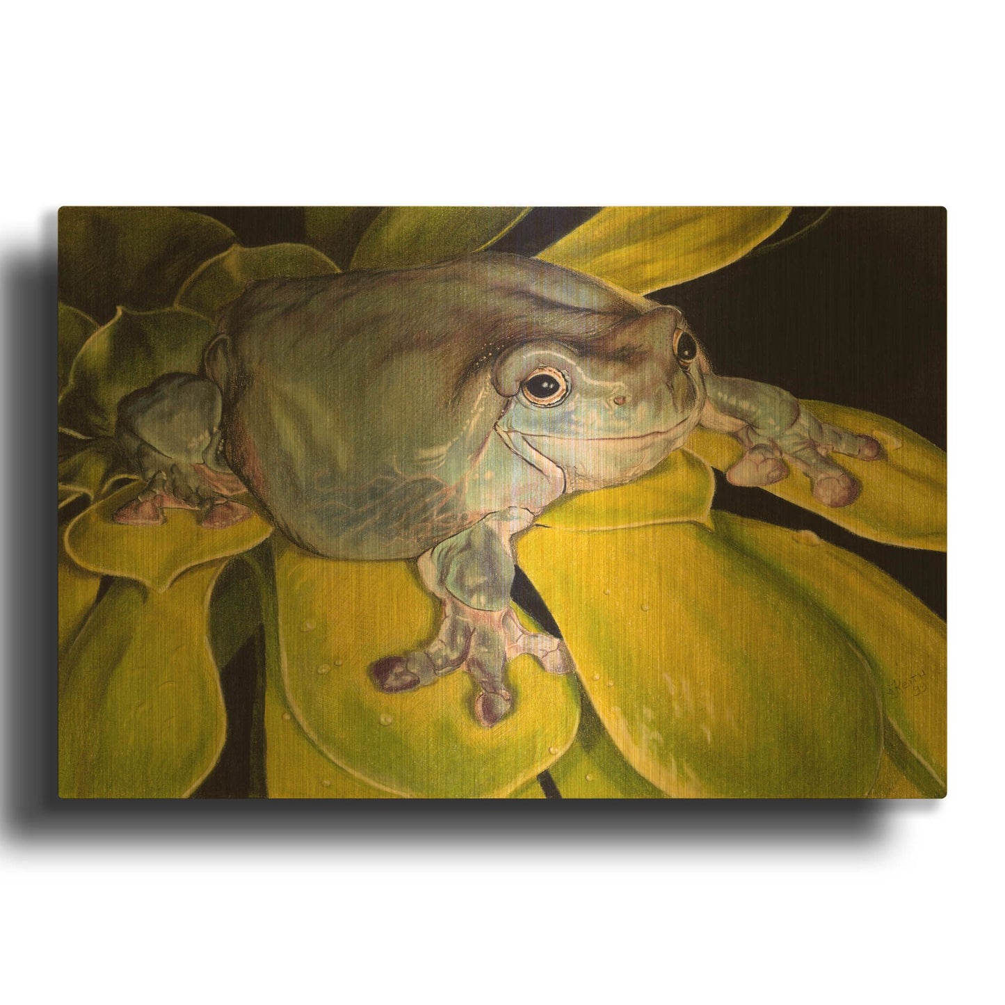 'Got Bugs' By Barbara Keith Gold Metal Wall Art