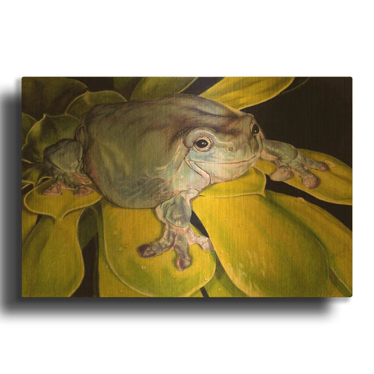'Got Bugs' By Barbara Keith Gold Metal Wall Art