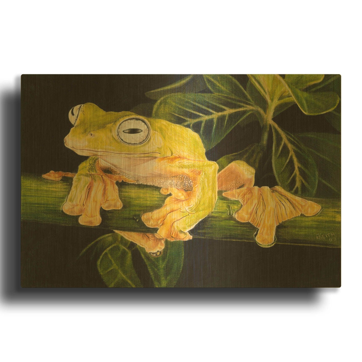 'Musky Flying Frog' By Barbara Keith Gold Metal Wall Art