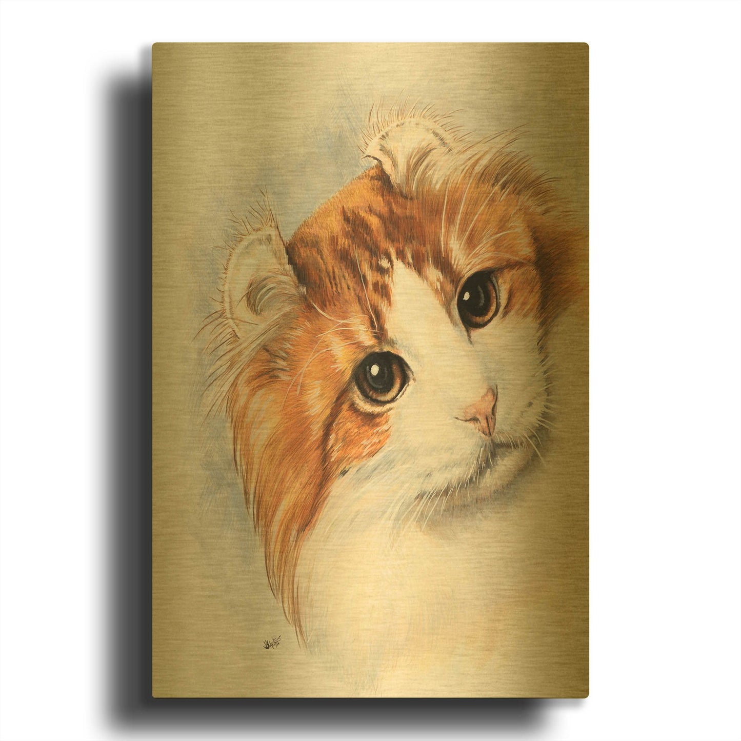 'American Curl 2' By Barbara Keith Gold Metal Wall Art