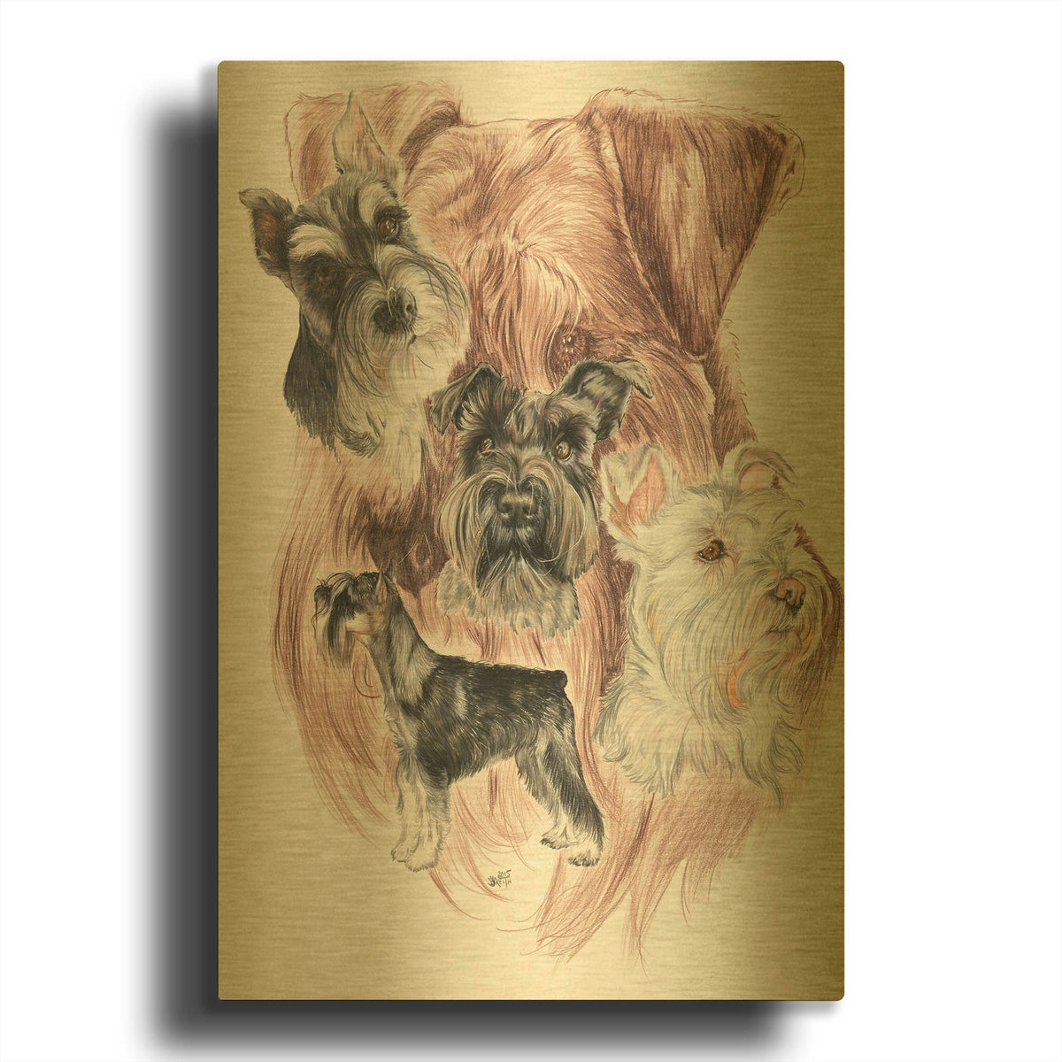 'Miniature Schnauzer' By Barbara Keith Gold Metal Wall Art