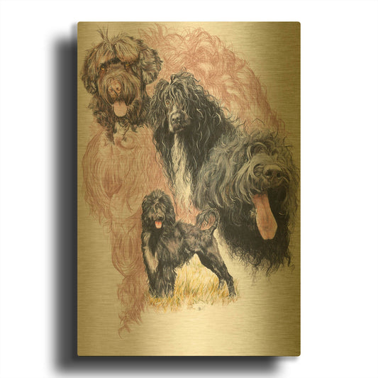 'Portuguese Water Dog' By Barbara Keith Gold Metal Wall Art
