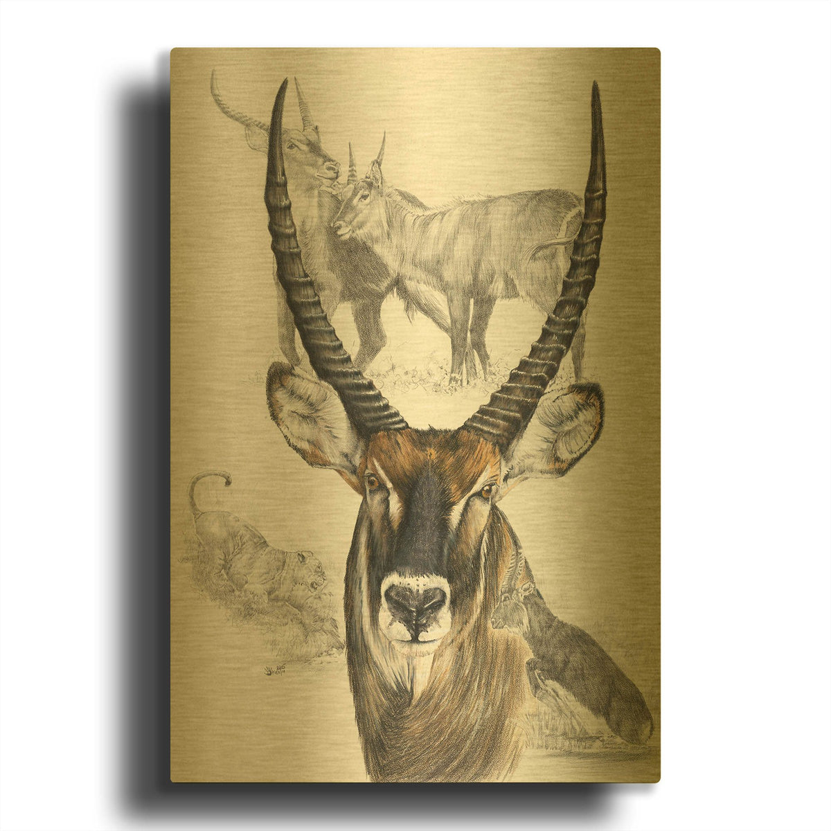 'Waterbuck' By Barbara Keith Gold Metal Wall Art