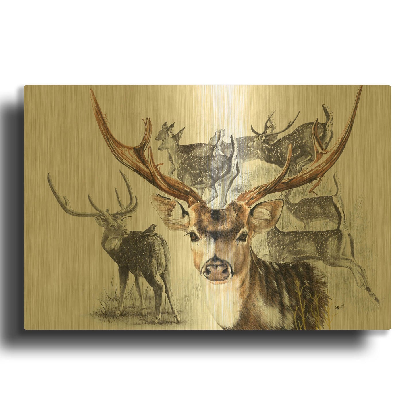 'Axis Deer' By Barbara Keith Gold Metal Wall Art