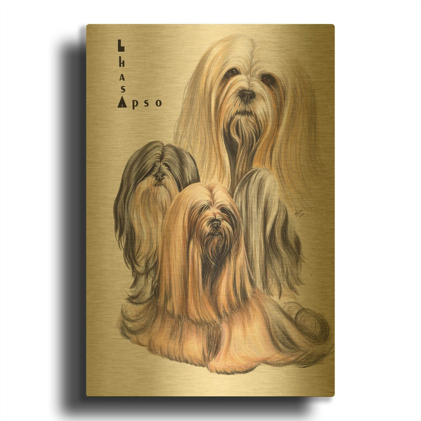 'Lhasa Apso' By Barbara Keith Gold Metal Wall Art