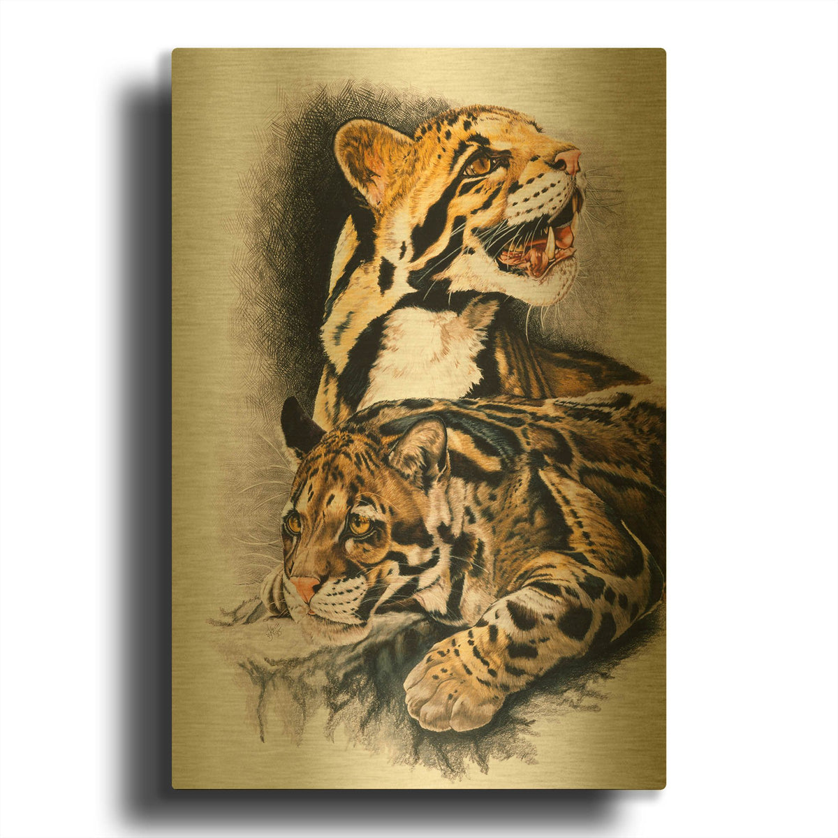 'Neofelis Nebulosa' By Barbara Keith Gold Metal Wall Art
