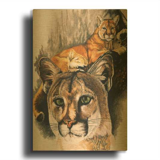 'Felis Concolor Cory' By Barbara Keith Gold Metal Wall Art