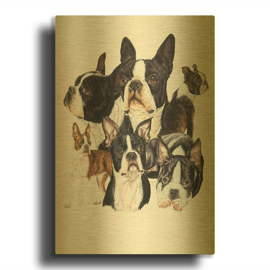 'Boston Terrier' By Barbara Keith Gold Metal Wall Art
