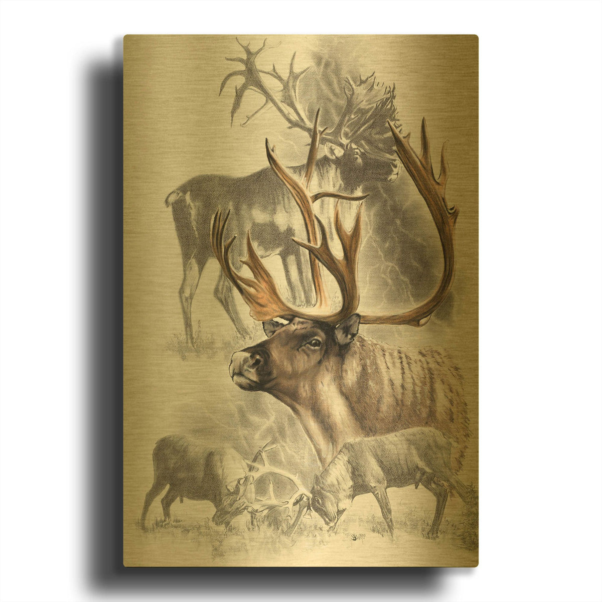 'Caribou' By Barbara Keith Gold Metal Wall Art