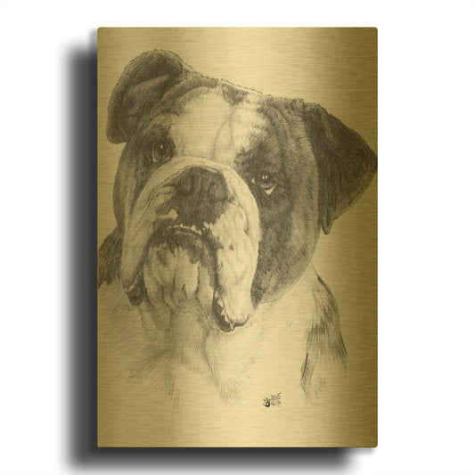 'American Bulldog' By Barbara Keith Gold Metal Wall Art