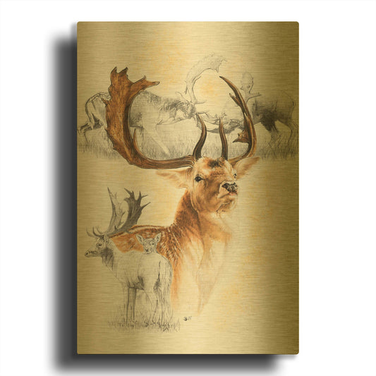 'Fallow Deer' By Barbara Keith Gold Metal Wall Art