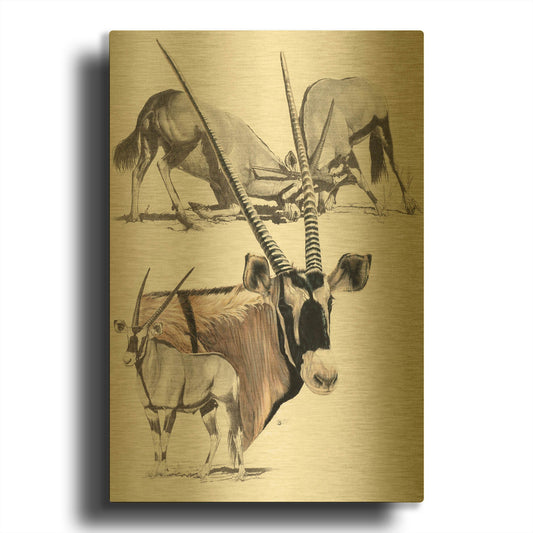 'Gemsbok' By Barbara Keith Gold Metal Wall Art