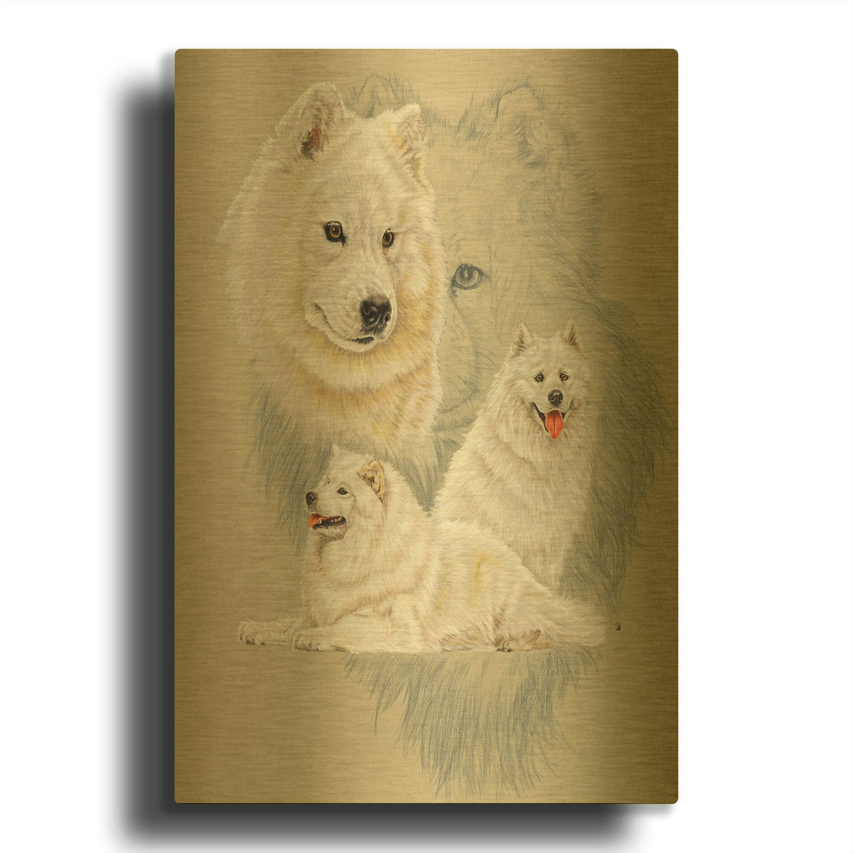 'Samoyed' By Barbara Keith Gold Metal Wall Art