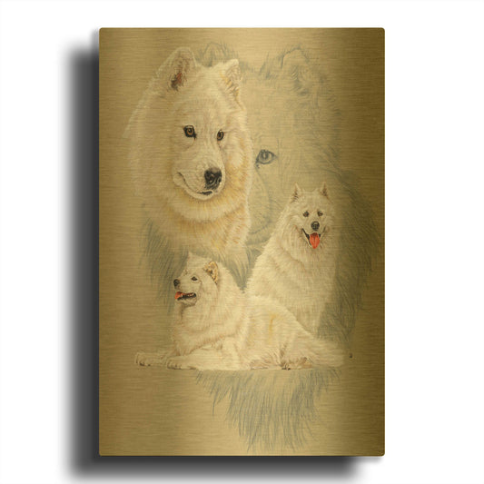 'Samoyed' By Barbara Keith Gold Metal Wall Art