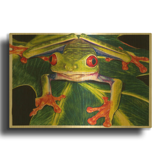 'Rainbow Splendor' By Barbara Keith Gold Metal Wall Art