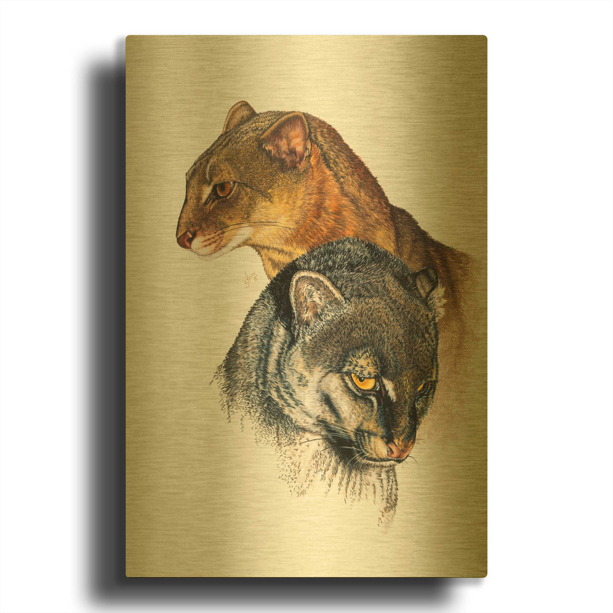 'Jaguarundi' By Barbara Keith Gold Metal Wall Art