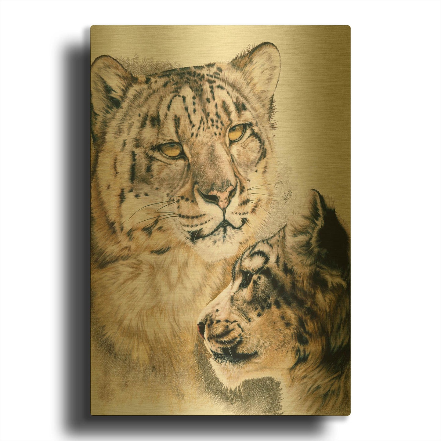 'Panthera Uncia' By Barbara Keith Gold Metal Wall Art