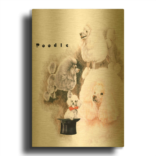 'Poodle 2' By Barbara Keith Gold Metal Wall Art