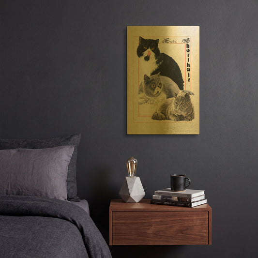 'Exotic Shorthair' By Barbara Keith Gold Metal Wall Art