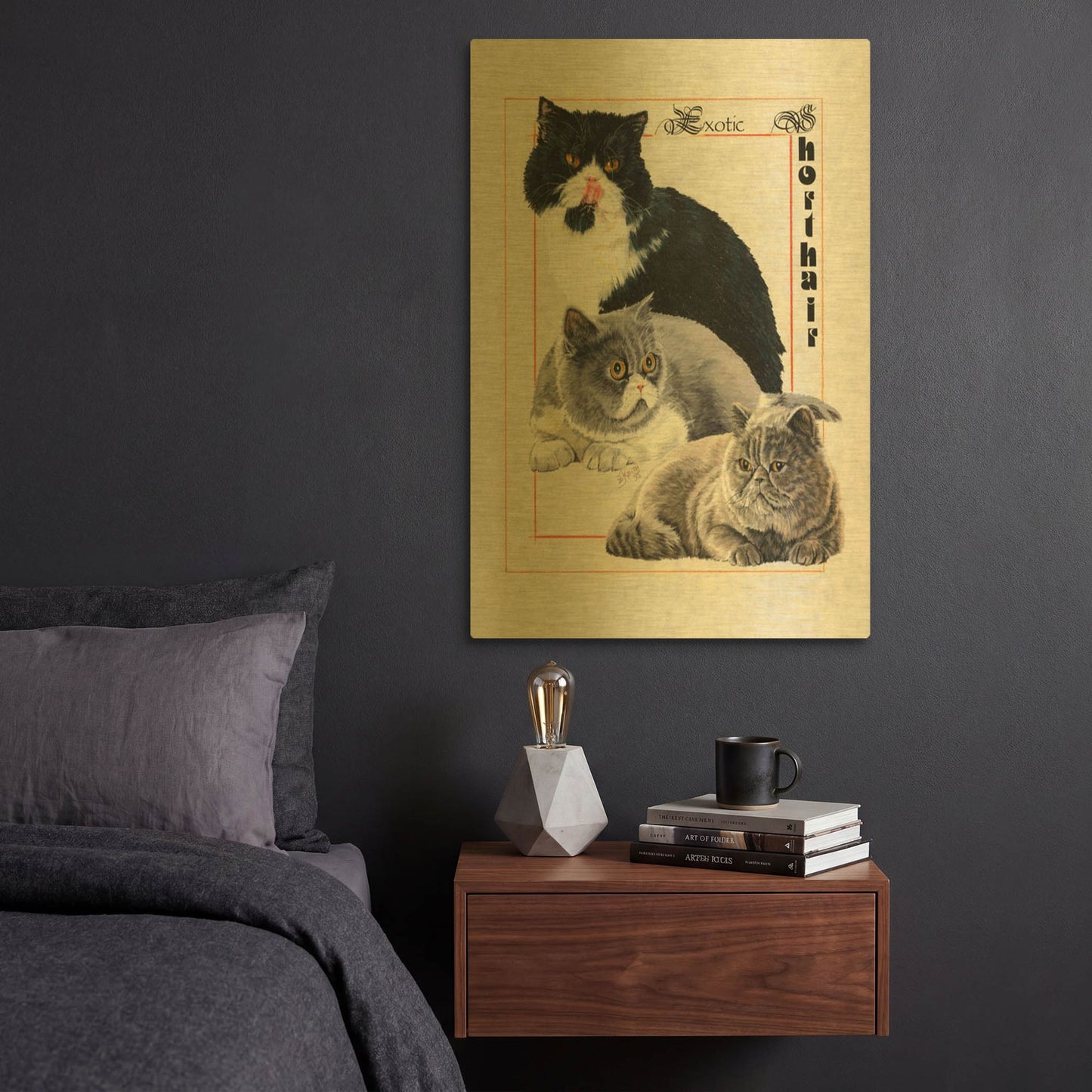 'Exotic Shorthair' By Barbara Keith Gold Metal Wall Art