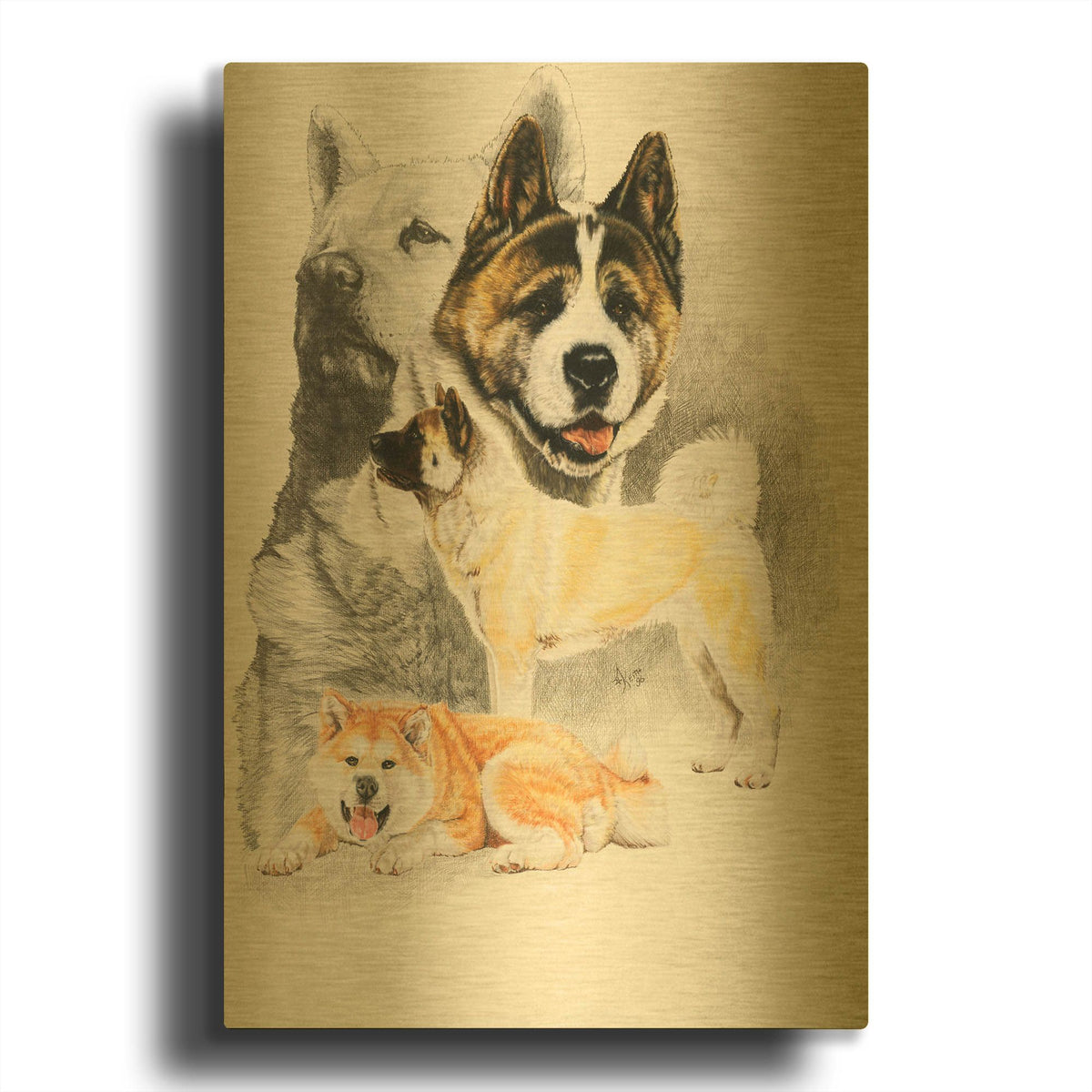 'Akita 2' By Barbara Keith Gold Metal Wall Art