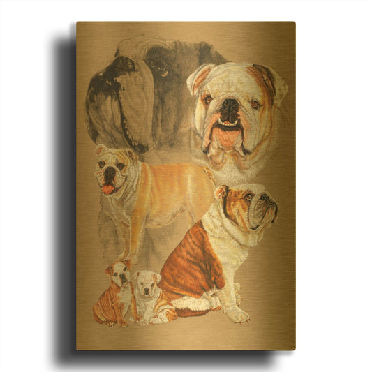 'English Bulldog' By Barbara Keith Gold Metal Wall Art