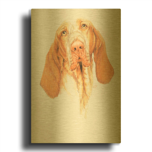 'Braceo' By Barbara Keith Gold Metal Wall Art