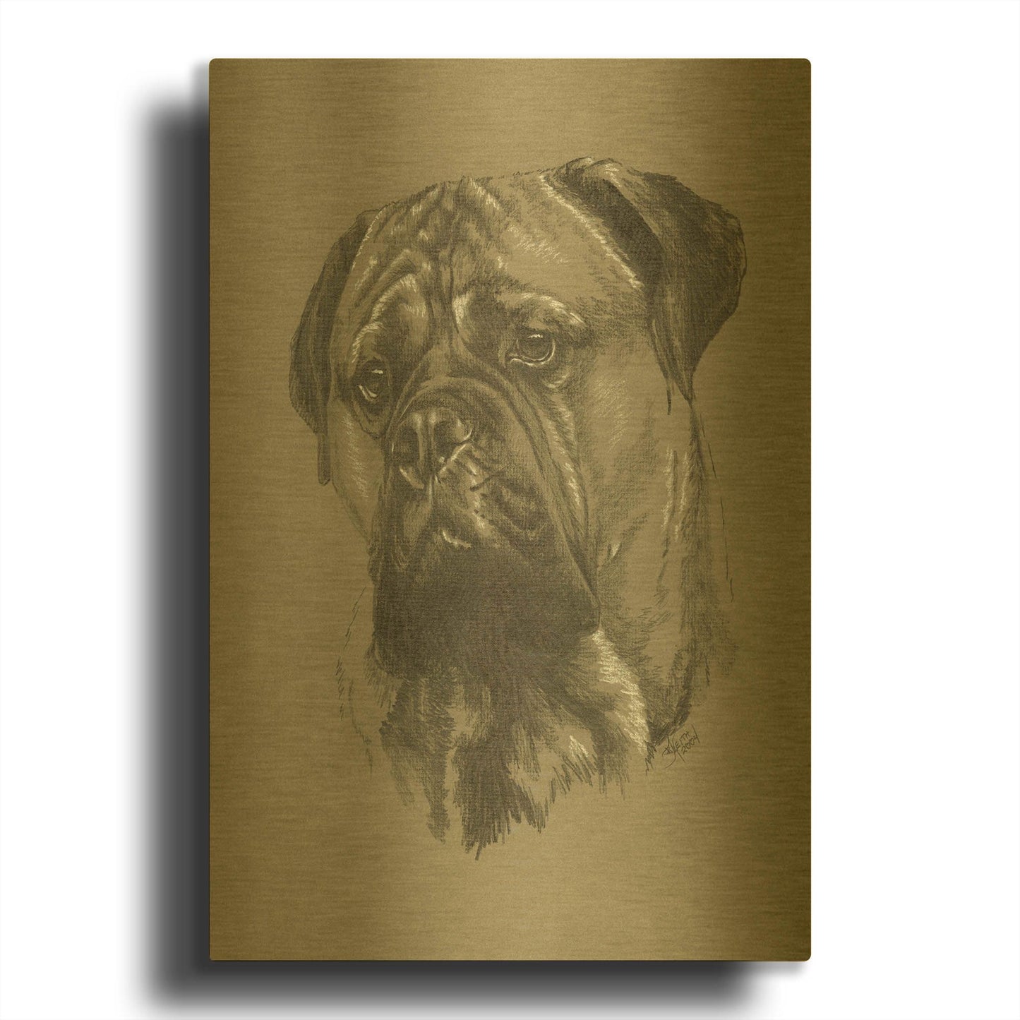 'Bull Mastiff' By Barbara Keith Gold Metal Wall Art