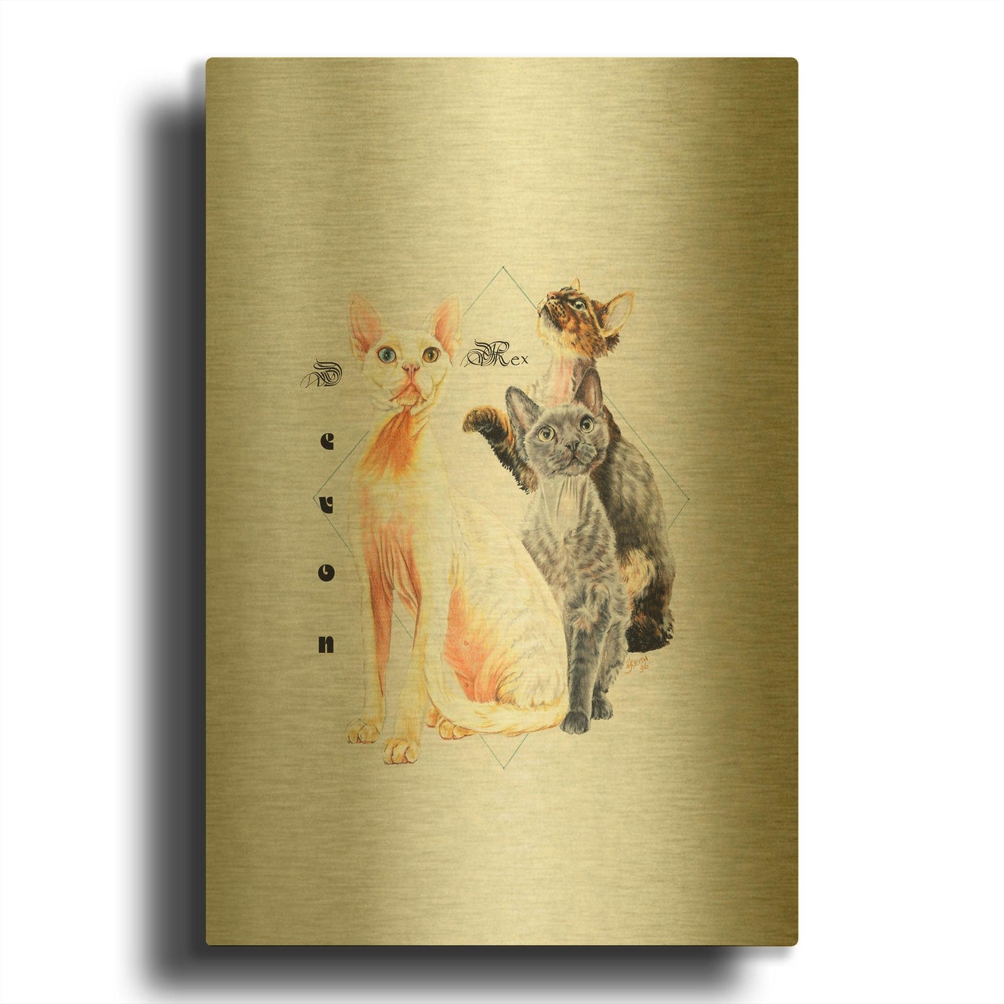 'Devon Rex' By Barbara Keith Gold Metal Wall Art