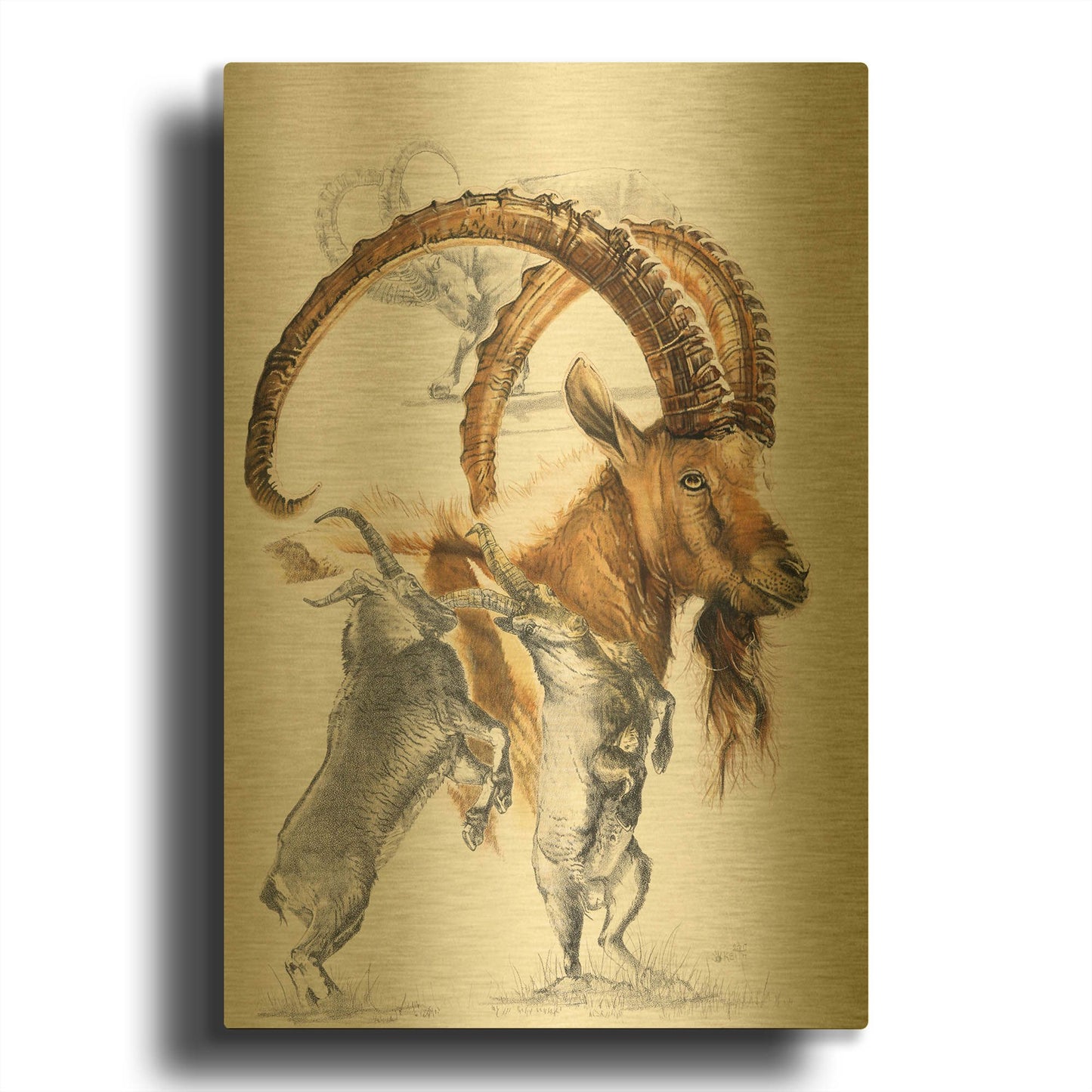 'Ibex' By Barbara Keith Gold Metal Wall Art