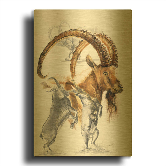 'Ibex' By Barbara Keith Gold Metal Wall Art