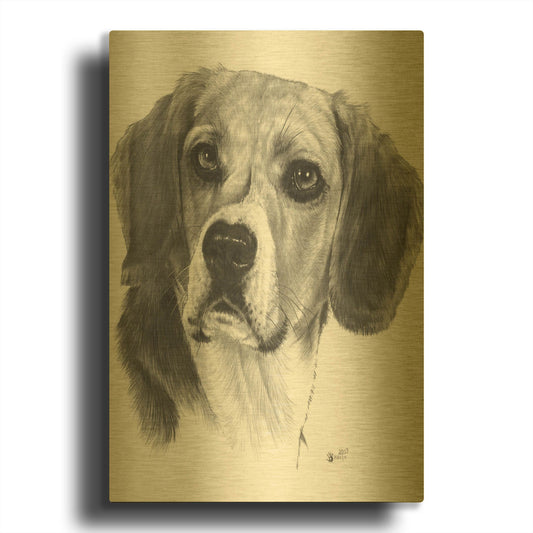 'Shadow' By Barbara Keith Gold Metal Wall Art