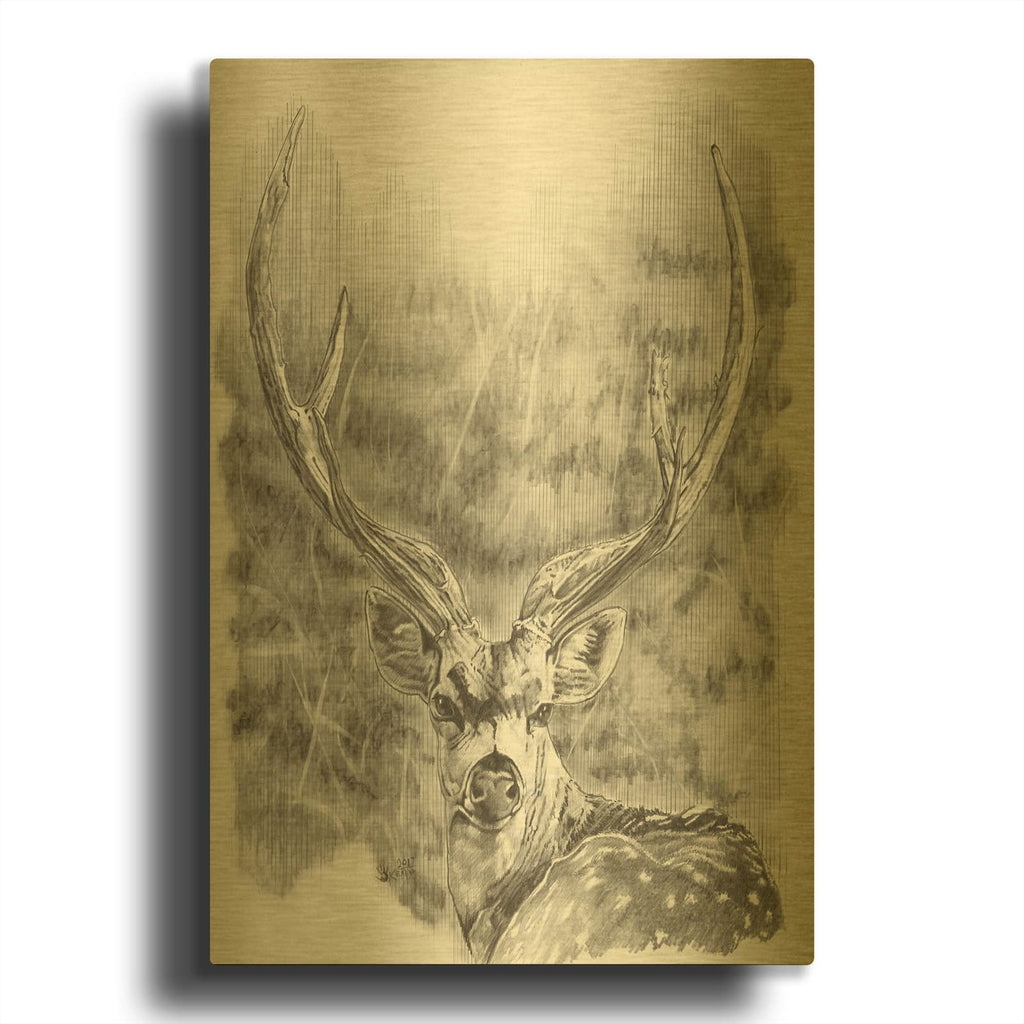 'Chital Deer' By Barbara Keith Gold Metal Wall Art