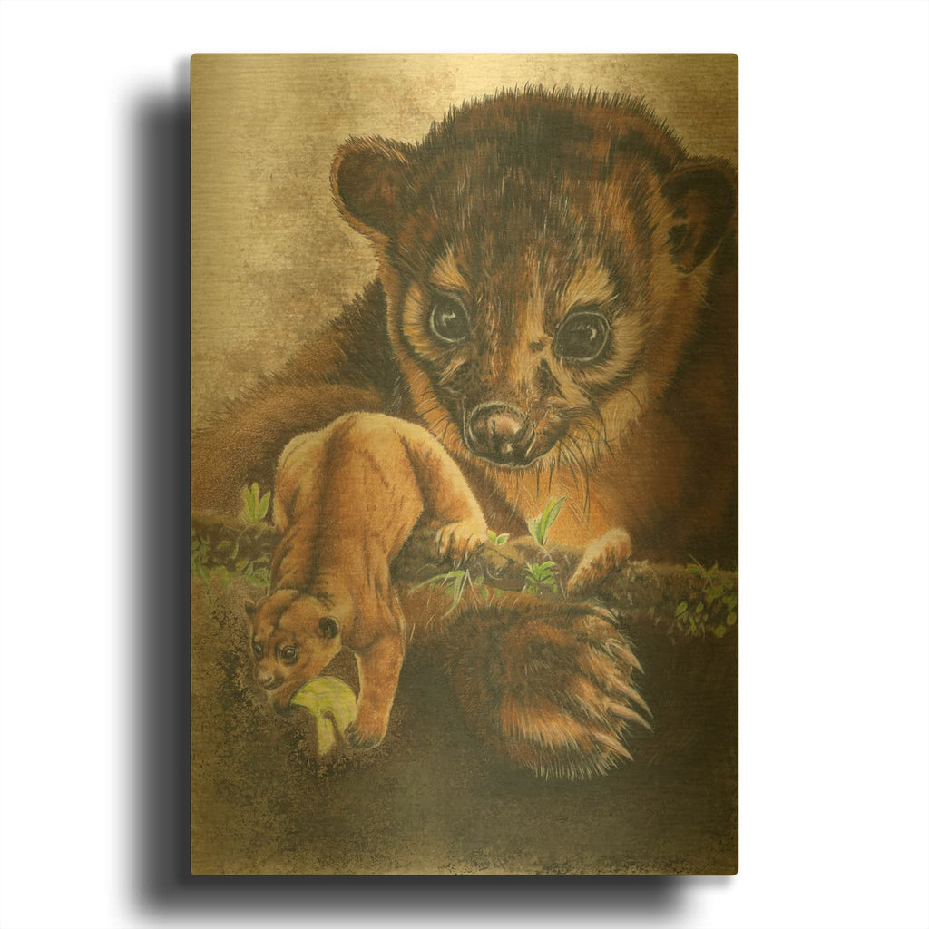'Kinkajou' By Barbara Keith Gold Metal Wall Art