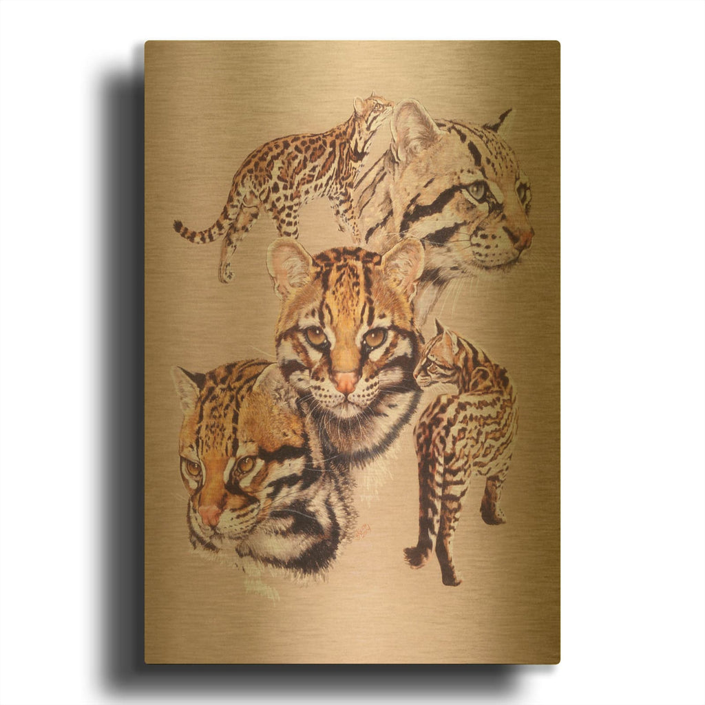 'Ocelot' By Barbara Keith Gold Metal Wall Art
