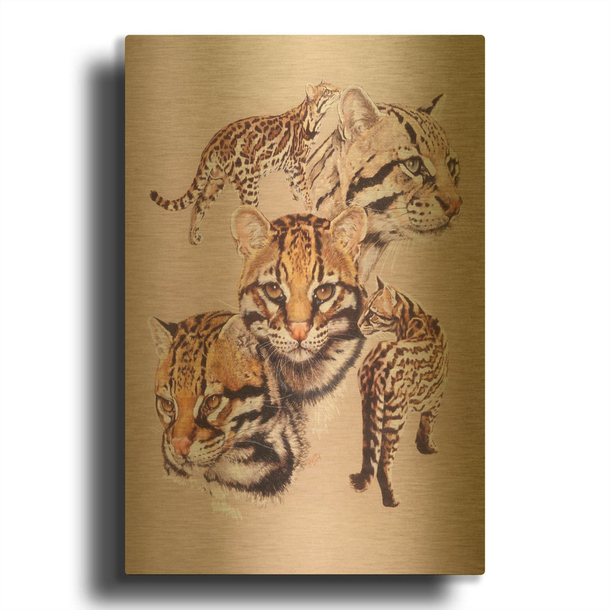 'Ocelot' By Barbara Keith Gold Metal Wall Art