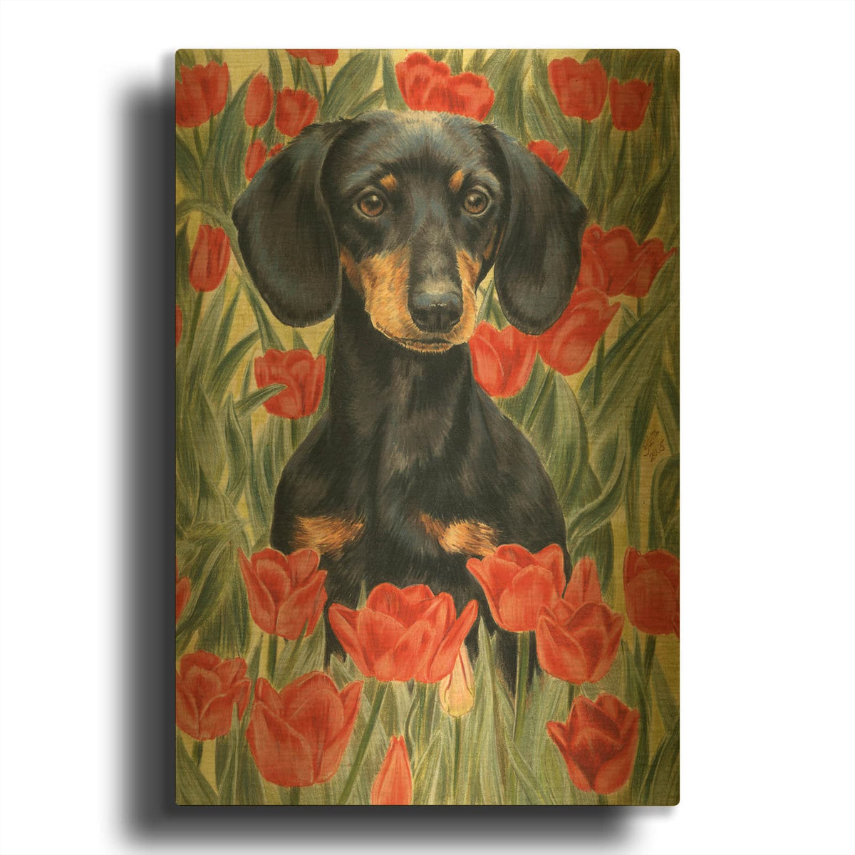 'Dachsund In Tulips' By Barbara Keith Gold Metal Wall Art