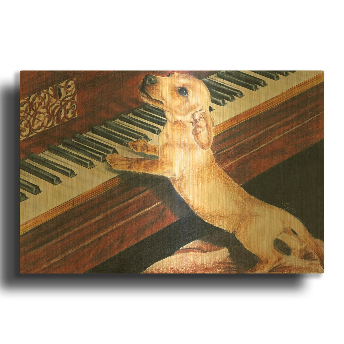 'Dachsund Playing Piano' By Barbara Keith Gold Metal Wall Art