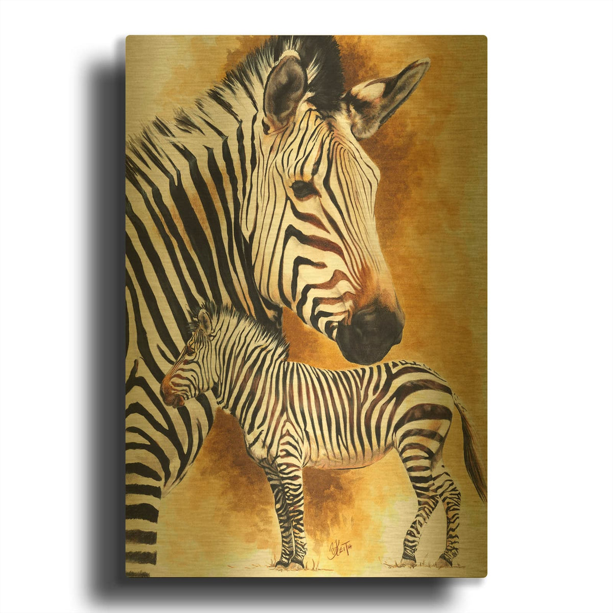 'Mountain Zebra' By Barbara Keith Gold Metal Wall Art
