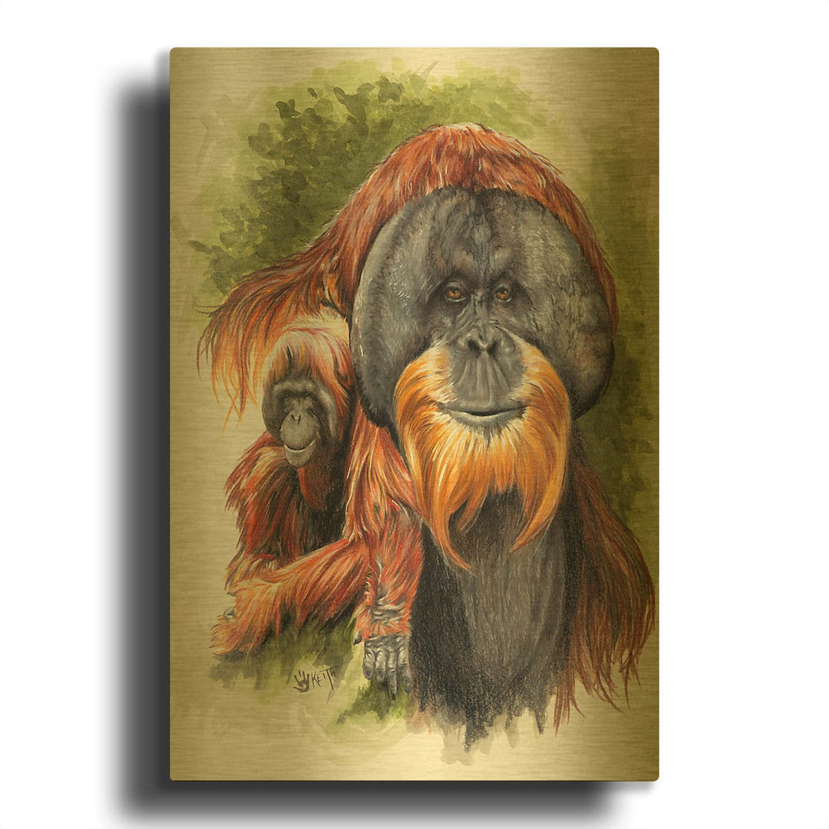 'Orangutan Soul' By Barbara Keith Gold Metal Wall Art