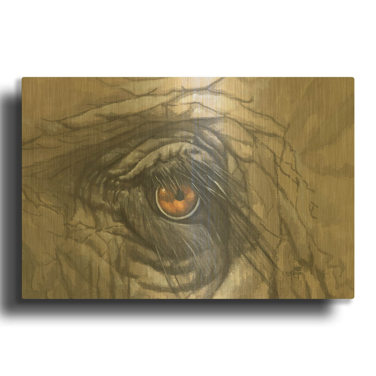 'Eye-Catching Elephant' By Barbara Keith Gold Metal Wall Art