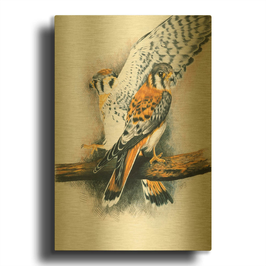 'Elegant Raptor' By Barbara Keith Gold Metal Wall Art