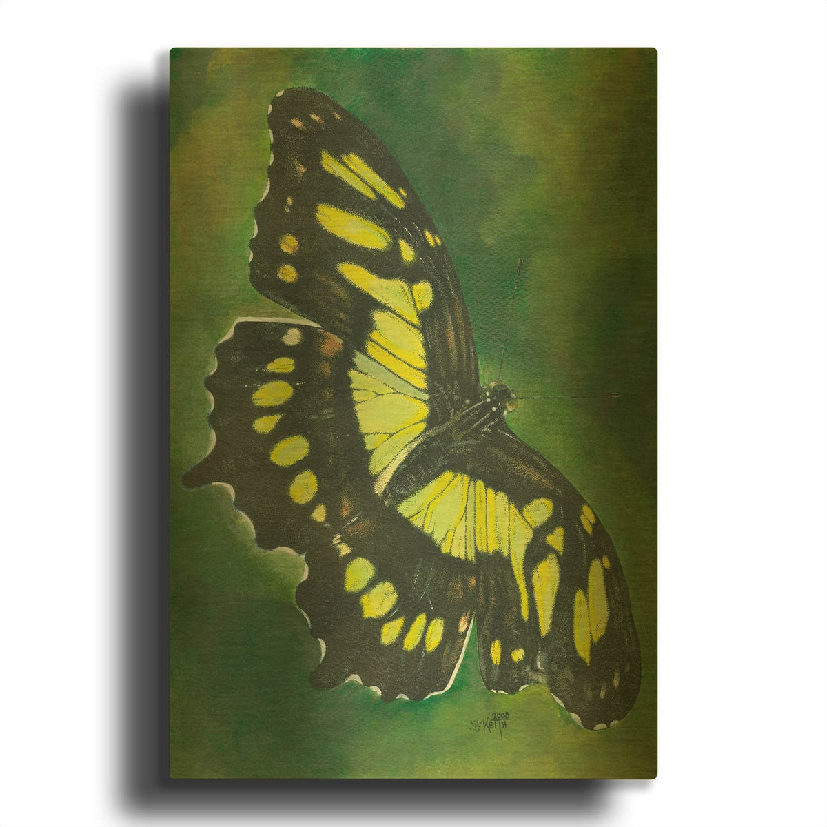 'Malachite Butterfly' By Barbara Keith Gold Metal Wall Art