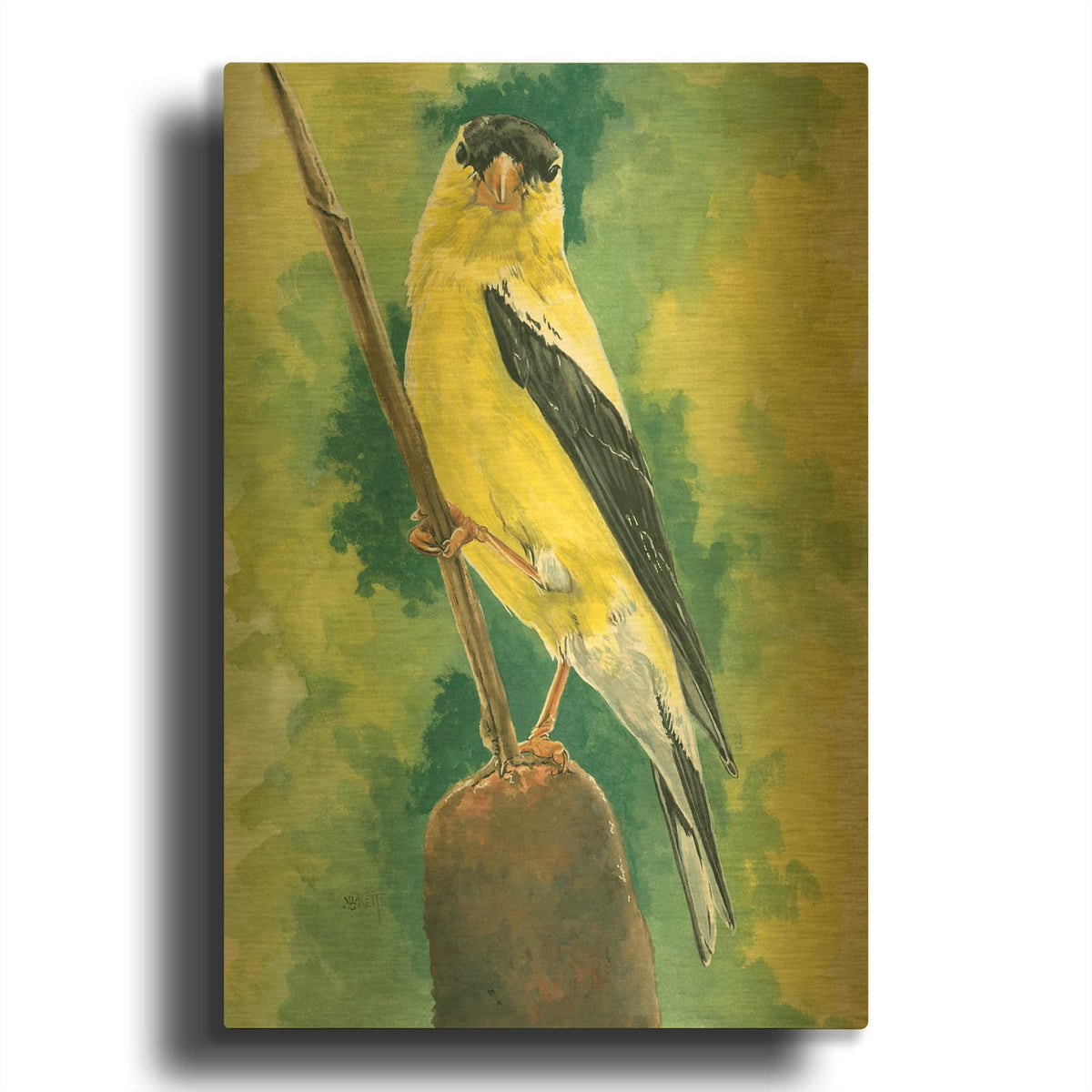 'Aureate' By Barbara Keith Gold Metal Wall Art